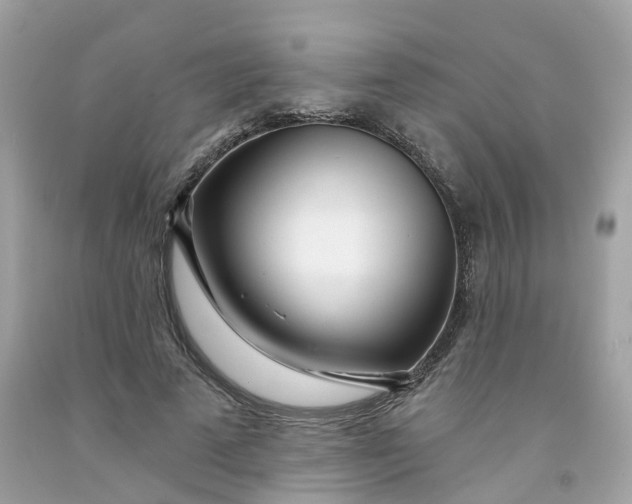 X0000091470689200709061819