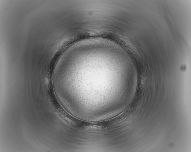 X0000091470691200709061819