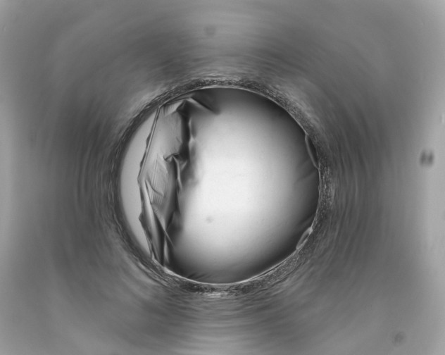 X0000091470692200709061819