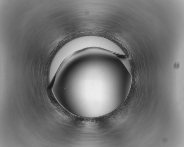 X0000091470693200709061818