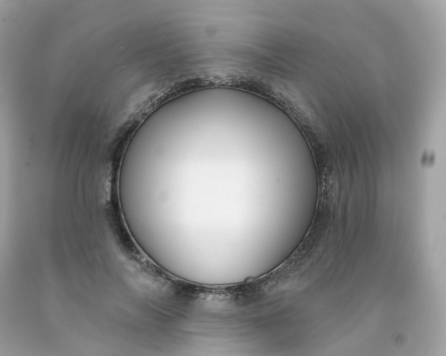 X0000091470694200709061818