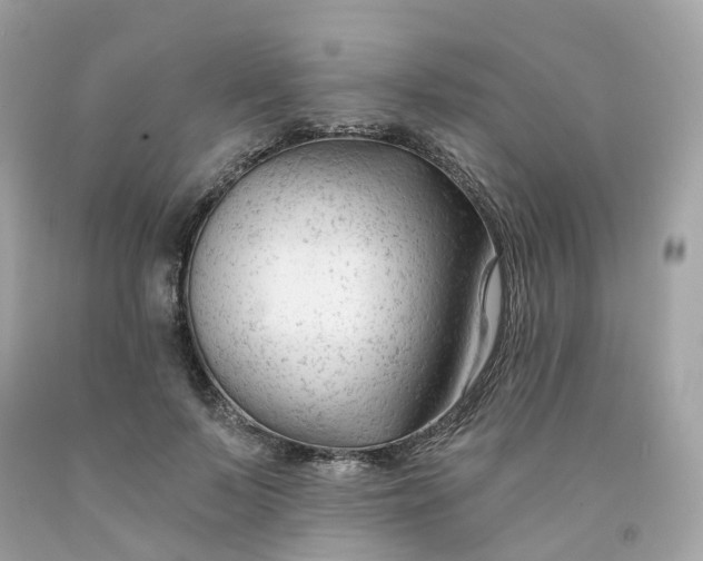 X0000091470695200709061818