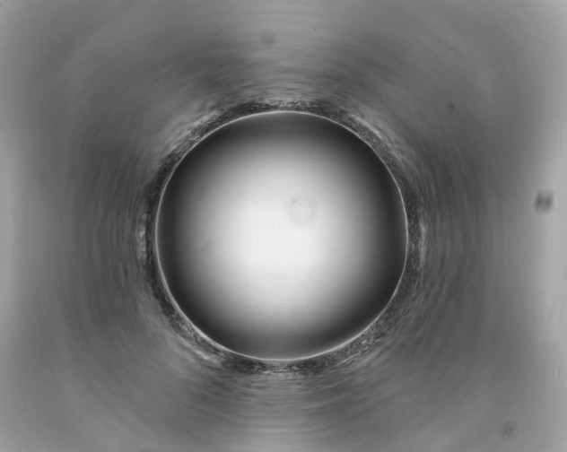 X0000091470696200709061818