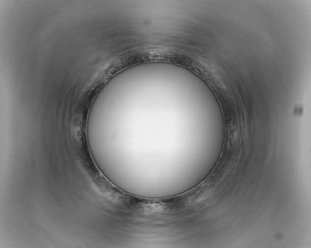 X0000091470698200709061818