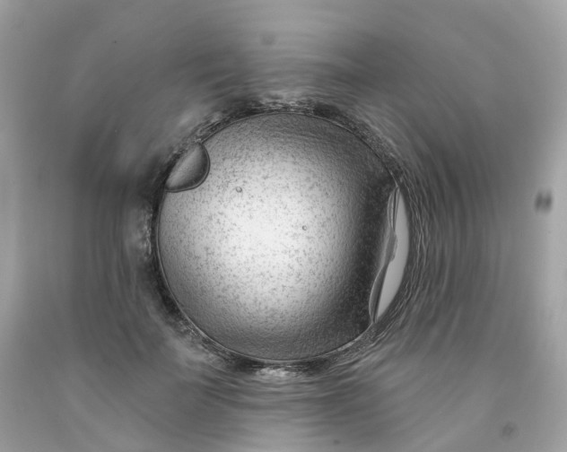 X0000091470699200709061818