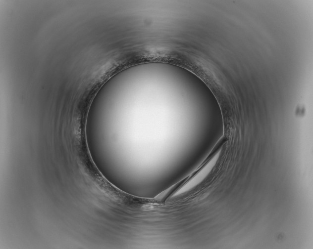 X0000091470700200709061818