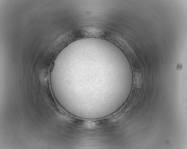 X0000091470701200709061818