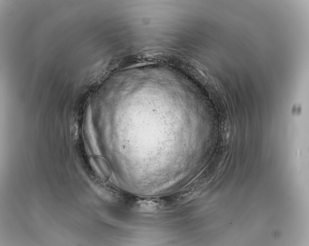 X0000091470703200709061818