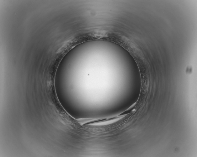 X0000091470704200709061818