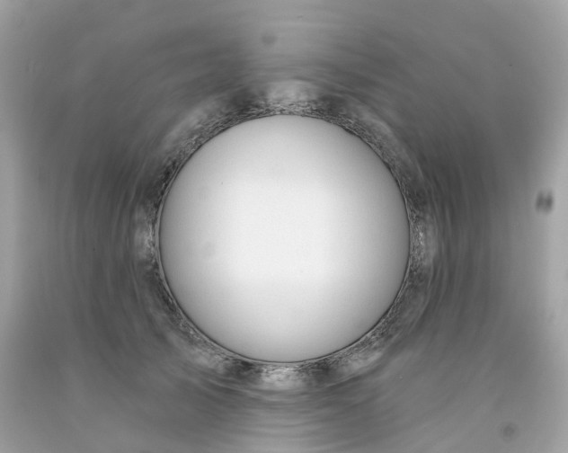 X0000091470705200709061818