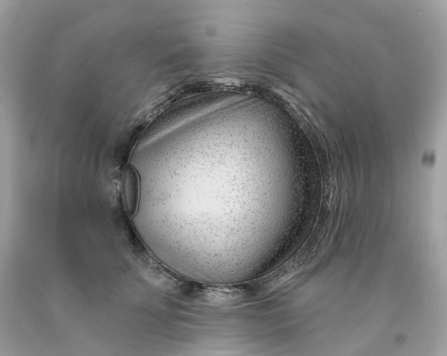 X0000091470707200709061818