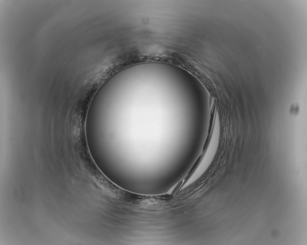 X0000091470708200709061818