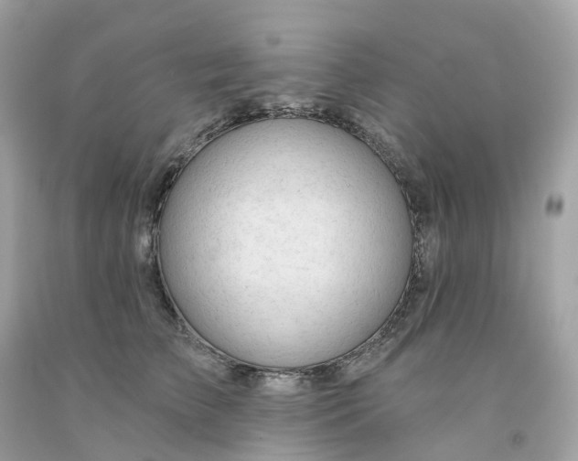 X0000091470709200709061818