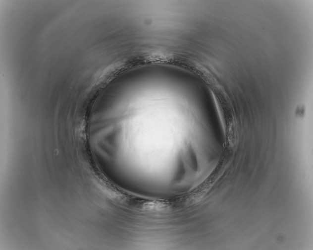 X0000091470714200709061818