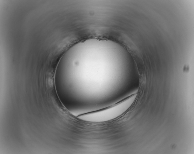 X0000091470719200709061818