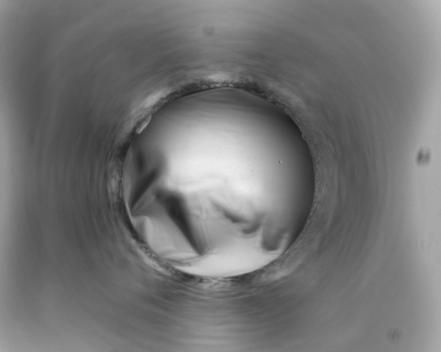 X0000091470720200709061818