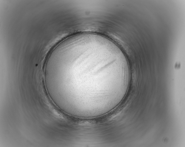 X0000091470721200709061818