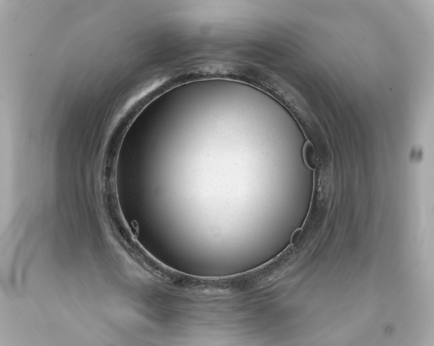 X0000091470722200709061818