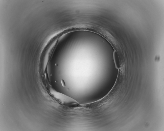 X0000091470724200709061818