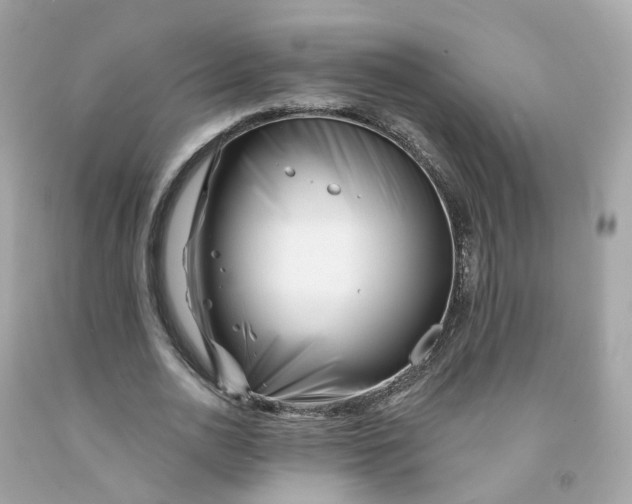 X0000091470726200709061818