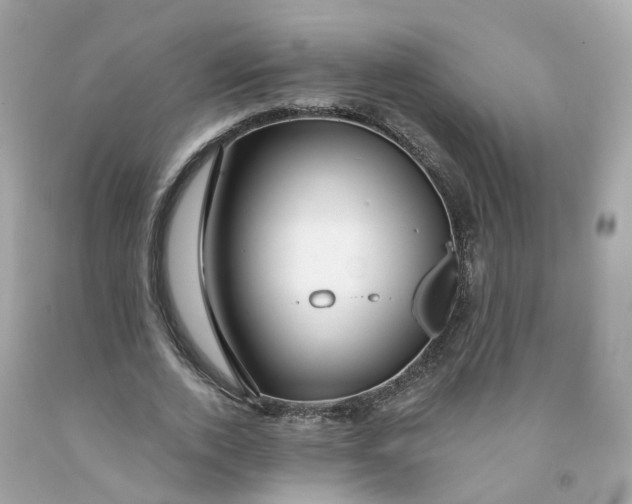 X0000091470728200709061818