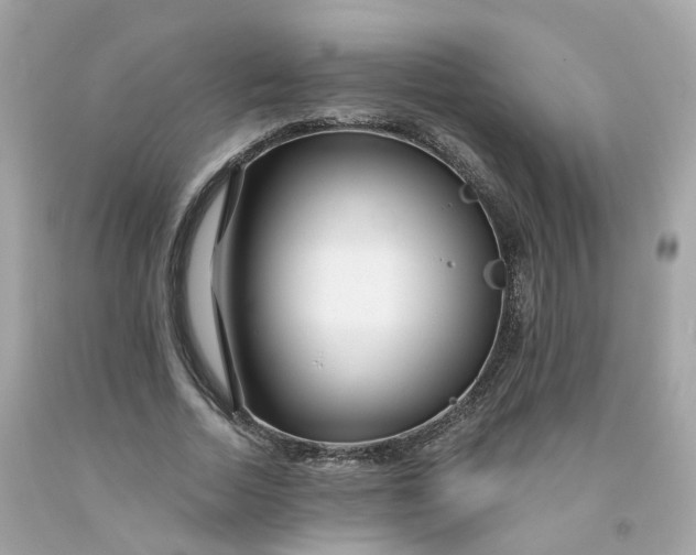 X0000091470730200709061818