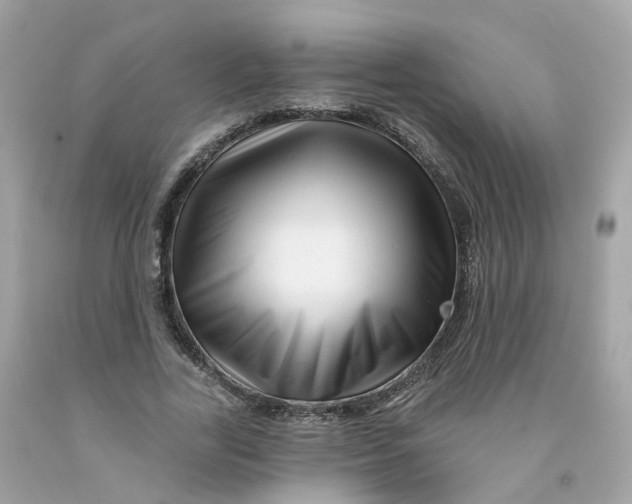 X0000091470731200709061818