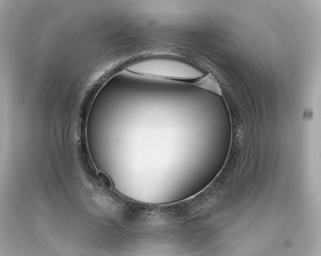 X0000091470732200709061818