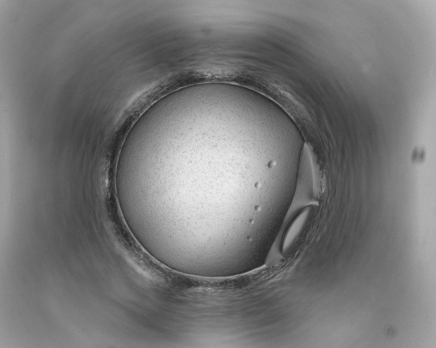 X0000091470733200709061818