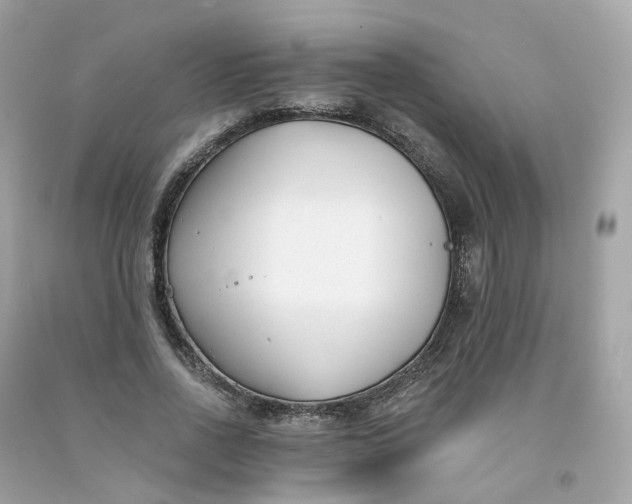 X0000091470734200709061818