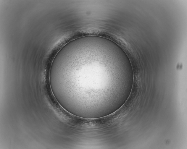 X0000091470735200709061818