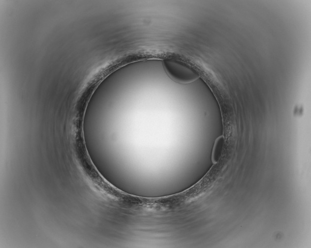 X0000091470736200709061818