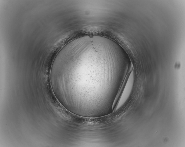 X0000091470737200709061818