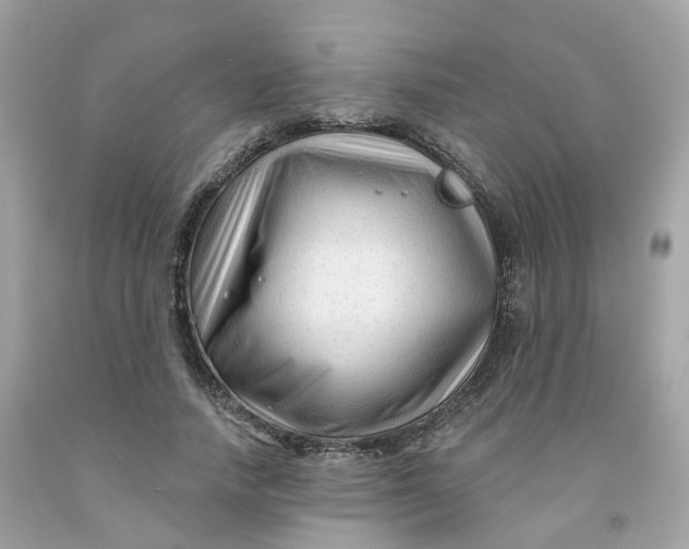 X0000091470738200709061818