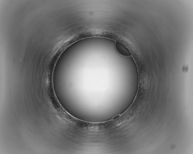 X0000091470740200709061818