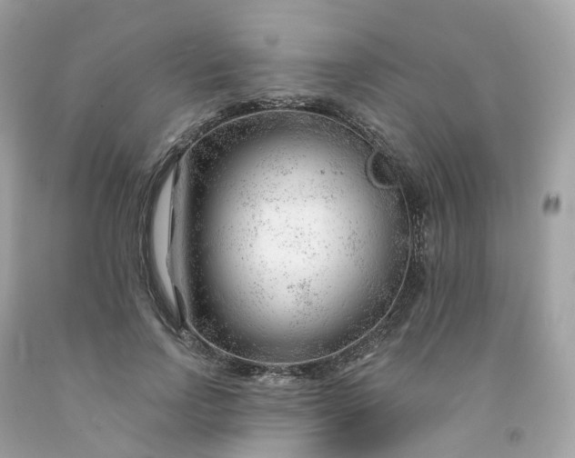 X0000091470742200709061818