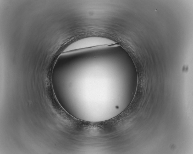 X0000091470743200709061818