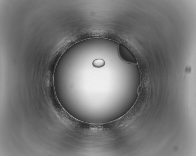 X0000091470744200709061818