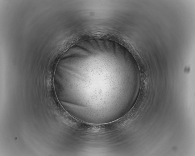 X0000091470745200709061818