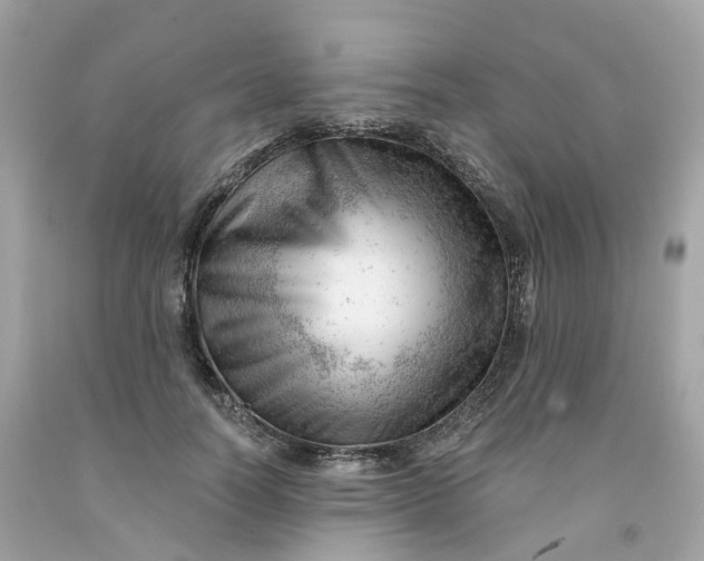 X0000091470746200709061818