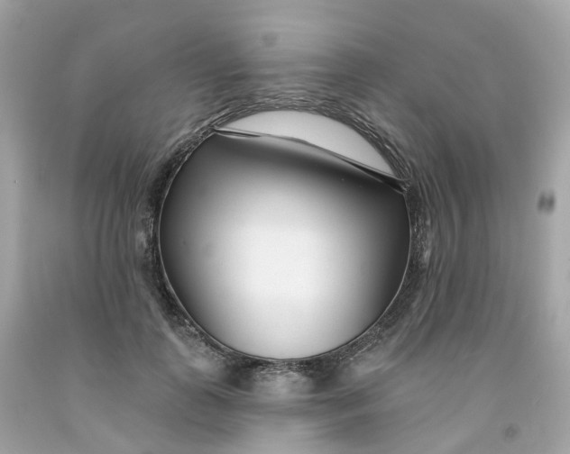 X0000091470747200709061818