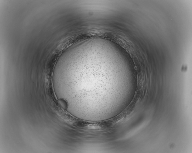 X0000091470749200709061818