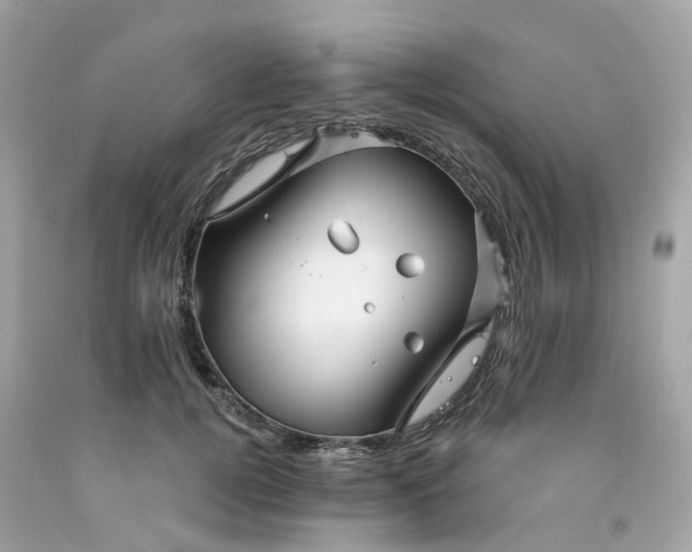 X0000091470752200709061818