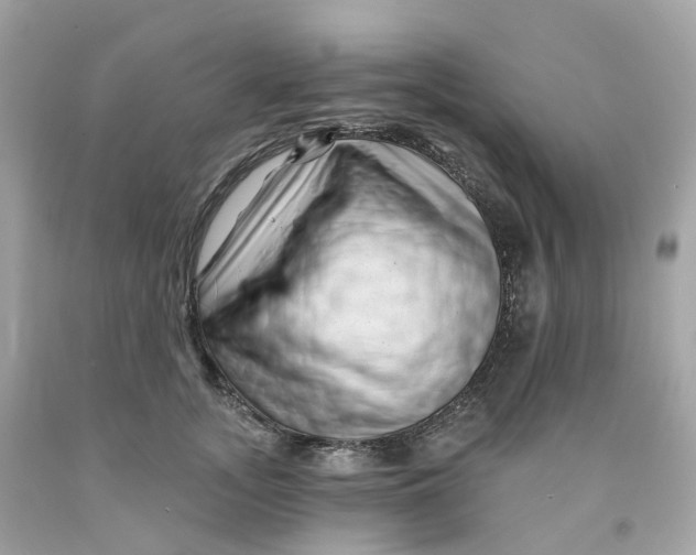 X0000091470755200709061818