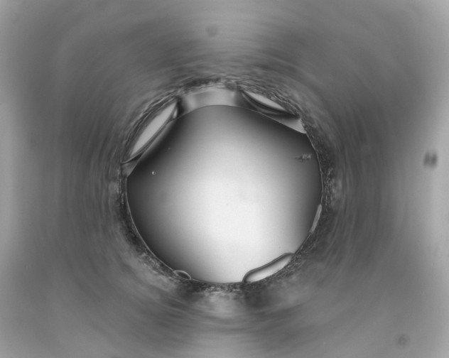 X0000091470756200709061818