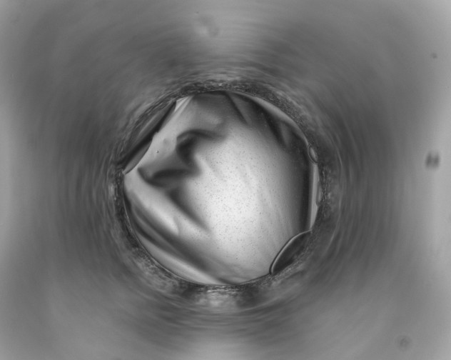 X0000091470758200709061818