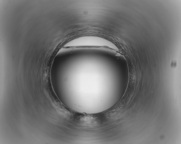 X0000091470759200709061818