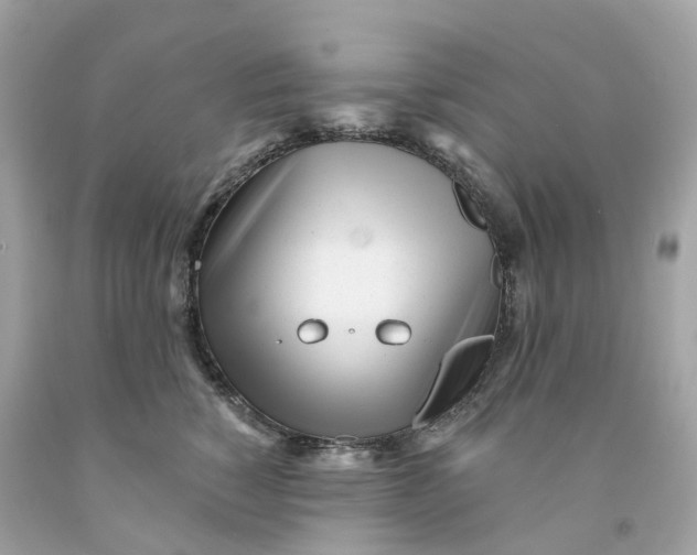 X0000091470760200709061818