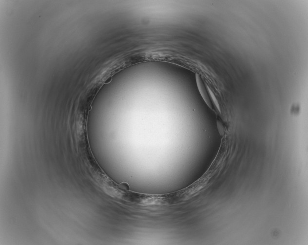 X0000091470761200709061818