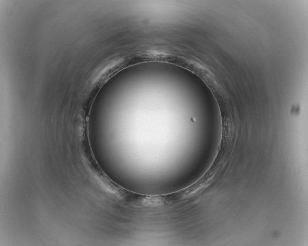 X0000091470762200709061818